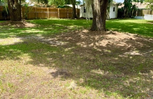 St. Marys House | Lovely 3 Bedroom Retreat with Breakfast & Pet-Friendly Options