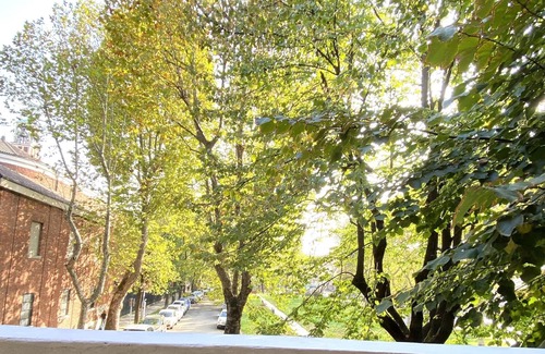 Cusano Milanino Apartment | Wonderful apartment five stops from the center of Milan