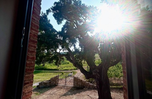 Crocina Villa | Elegant Villa in Val d'Orcia with Private Pool & Spa