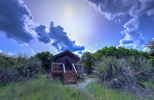 Maun Cabin | Wonderful tent by the river in the Okavango Delta