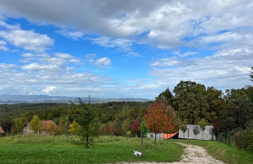 Banja Luka House | Pet-Friendly Wood Cabin Retreat with Perfect Guest Ratings