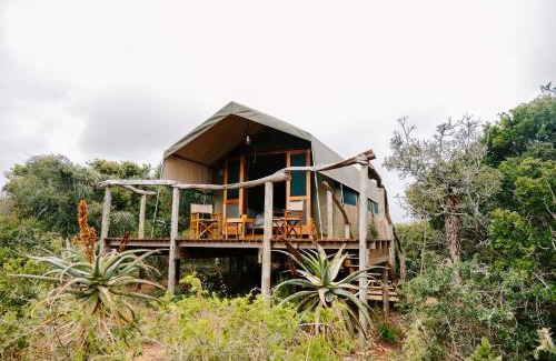Sidbury Other | Exceptional Woodbury Tented Camp at Amakhala Game Reserve