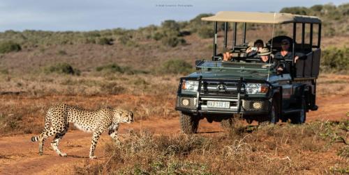 Sidbury Other | Exceptional Woodbury Tented Camp at Amakhala Game Reserve