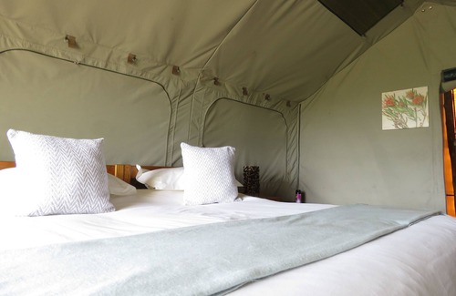 Sidbury Other | Discover Woodbury Tented Camp - Amakhala Game Reserve Escape