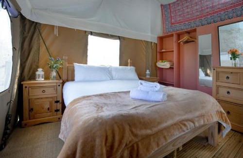 Saint Blazey House | Pet-Friendly Retreat at Woodcock - Kittisford Barton