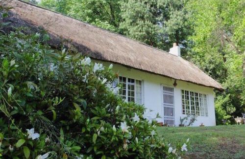 Lidgetton West Apartment | Pet-Friendly Retreat: Woodcroft with Excellent Guest Rating