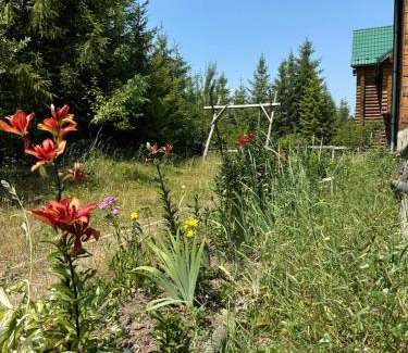 Plavya House | WoodDream: Guest Rated 10/10 with Fireplace & Hot Tub
