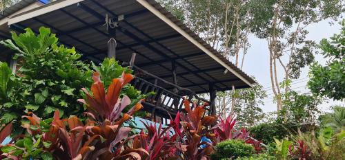 Ko Kood House | Idyllic Wooden Hut Koh Kood: Oceanfront Retreat Awaiting You
