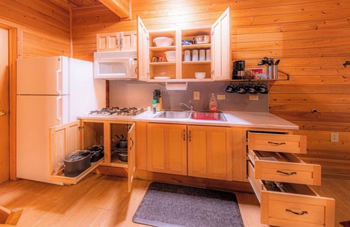 Christopher Creek Cabin | Pet-Friendly Buffalo Herd Cabin with Game Room & Kitchen