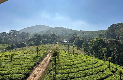 Udumbanchola Resort | Woodgreens Ecopath Resort Calvary Mount Idukki