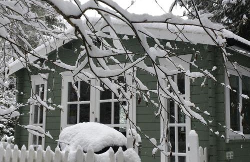 Tilford Cabin | Cozy Woodland Cabin with Private Hot Tub & Pet-Friendly Stay