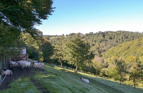 Bodmin House | Tranquil Woodland Retreat with Private Pool for Families