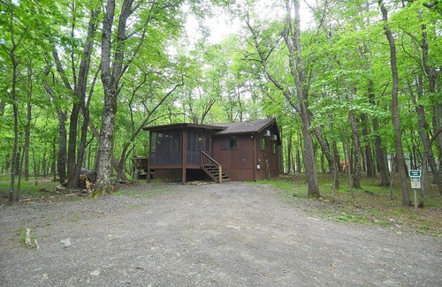 The Woods House | Woods Song - Embrace Nature with Pool & Pet-Friendly Comfort