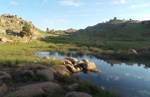 Tonteldoos House | Discover Woolly Bugger Farm: Pet-Friendly Retreat, 9.2/10