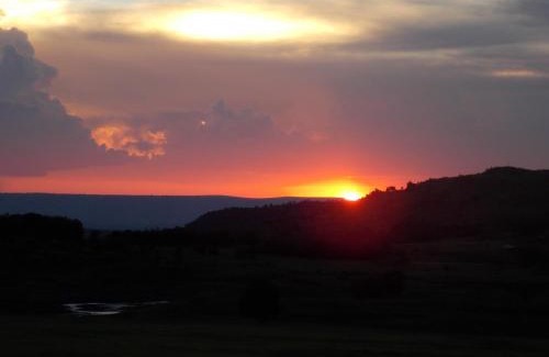 Tonteldoos House | Discover Woolly Bugger Farm: Pet-Friendly Retreat, 9.2/10