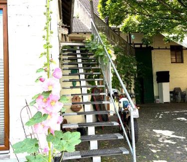 Gundersheim Apartment | Explore Wine Country at Gästehaus und Weingut Huppert
