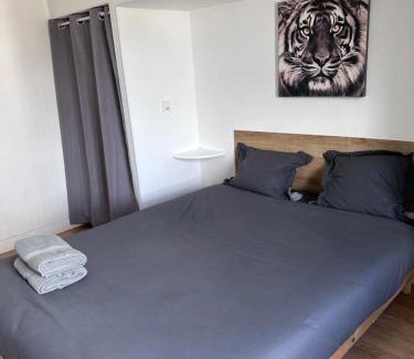 Barriere Saint Marc Apartment | WorkSpace faubourg près de la gare TV WIFI CALME