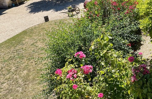Sainte-Souline House | Ideal Family Retreat: Fun for All Ages & Ocean Views!