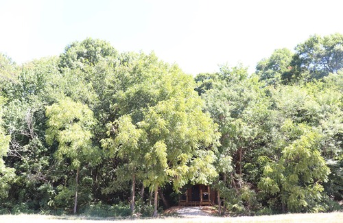 Powell Cabin | Wren's Nest Cabin: Rated 10/10 with Pool & Family-Friendly Amenities