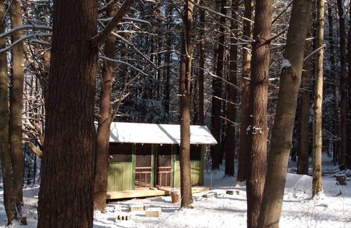 Etna House | Pet-Friendly Rustic Retreat Cabin at Camp Earth Connection