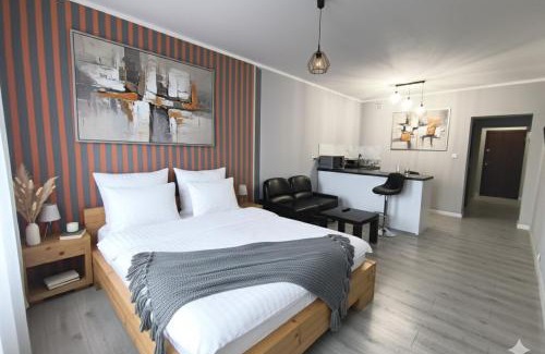 Kalisz Apartment | Pet-Friendly WRN APARTAMENTY with Breakfast & Hot Tub