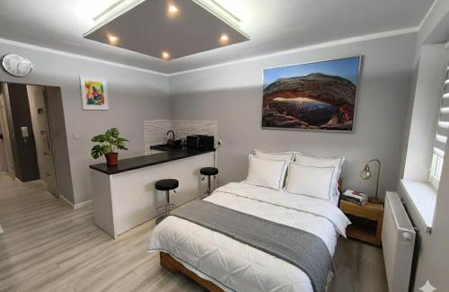 Kalisz Apartment | Pet-Friendly WRN APARTAMENTY with Breakfast & Hot Tub