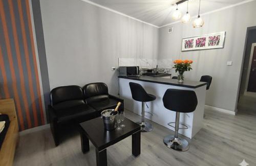 Kalisz Apartment | Pet-Friendly WRN APARTAMENTY with Breakfast & Hot Tub