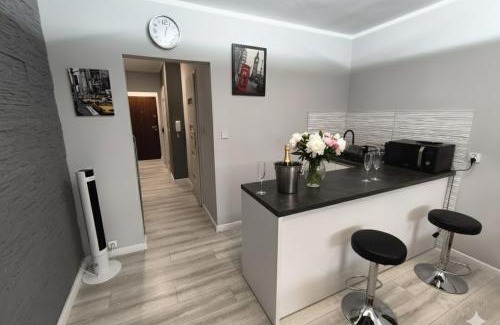 Kalisz Apartment | Pet-Friendly WRN APARTAMENTY with Breakfast & Hot Tub