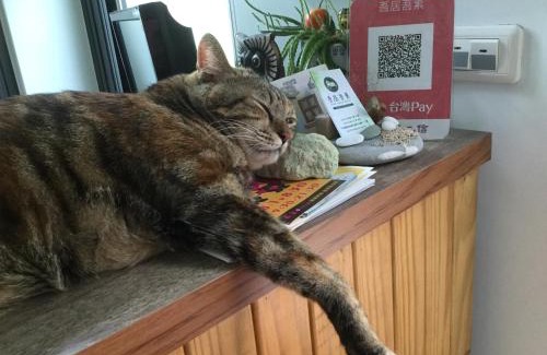 Hualien House | Pet-Friendly Retreat at Wuju Wusu B&B with Breakfast Included