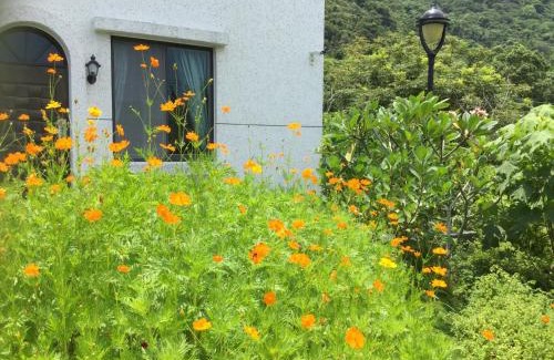 Hualien House | Pet-Friendly Retreat at Wuju Wusu B&B with Breakfast Included