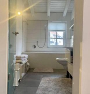 Wuerzburg Apartment | Charming City Apartment - Guest Rated 9.1, Pet Friendly