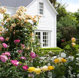 Greytown House | Elegant Wyett Annex: Guest Rated 9.8 with Restaurant Access