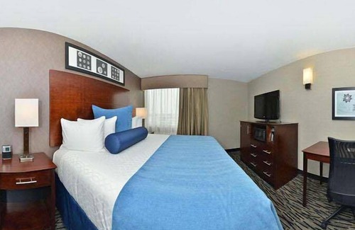 Elk Grove Village Hotel | Comfortable Stay at Wyndham Garden Elk Grove Village/O'Hare