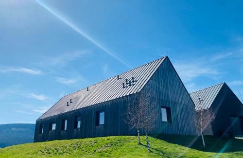 Mostowice Apartment | Highly Rated Wzgórze Owiec Sheep Hill: Family-Friendly Stay