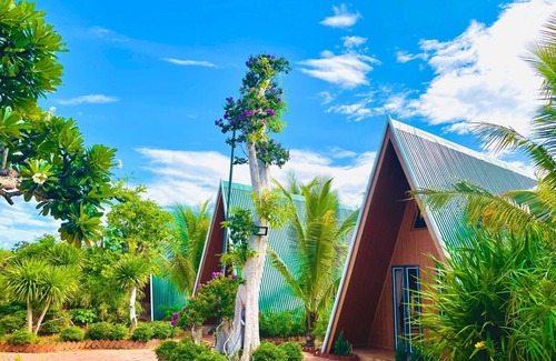 Phu Cat Hotel | Xanh Homestay