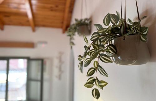 Poros Apartment | Top-Rated Xasteria Apartment: Pet & Child Friendly Retreat