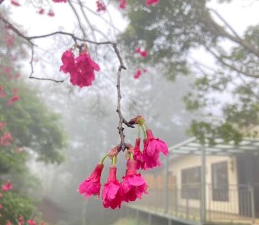 Sanyi Villa | Xianyan Villa B&B