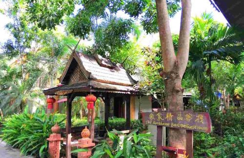 Jinghong House | Discover Xishuangbanna Elephant Home: Family-Friendly Retreat