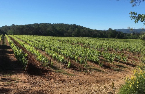 Saint-Antonin-du-Var Villa | Family-Friendly Retreat with Kitchen & Top Review Score 9.6