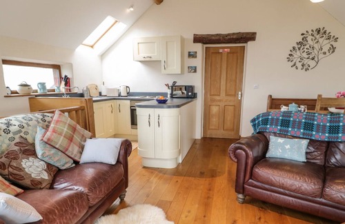 Machynlleth House | Y DAFLOD, with open fire in Machynlleth