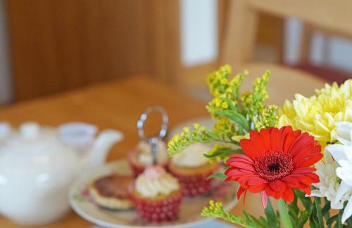 Aberystwyth House | Discover Y Ddinas: Family & Pet Friendly Getaway