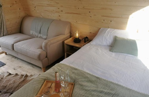 Bridgend Other | Relax at Y Nyth - The Nest with Pet-Friendly Amenities