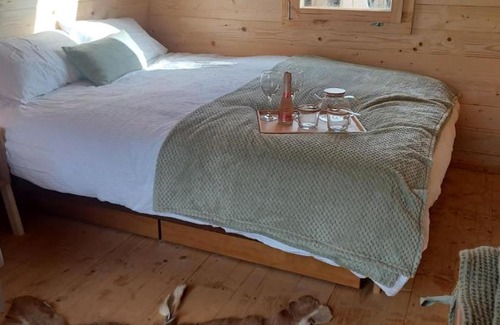 Bridgend Other | Relax at Y Nyth - The Nest with Pet-Friendly Amenities