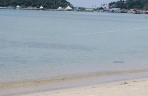 Khong Koi Beach House | Pet-Friendly Yak Bungalow with Ocean Views and Family Amenities