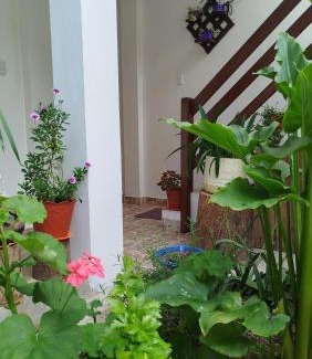 Leimebamba House | Discover Yaku Wasi: Family-Friendly Stay with High Ratings