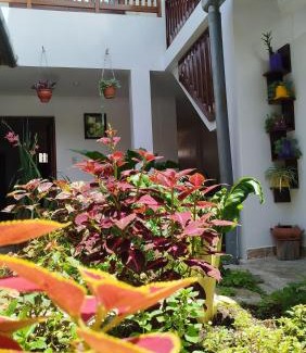 Leimebamba House | Discover Yaku Wasi: Family-Friendly Stay with High Ratings