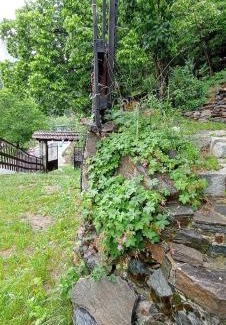 Smolyan House | Pet-Friendly Yakusha Guesthouse with 9.6/10 Review Score