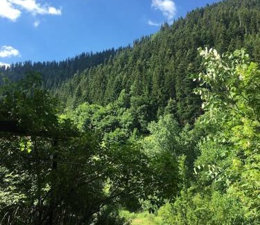 Smolyan House | Pet-Friendly Yakusha Guesthouse with 9.6/10 Review Score