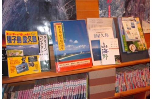 Miyanoura House | Explore Yakushima Park Guesthouse: Family-Friendly Stay