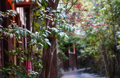 Oguni Hotel | Relax at YamakawaZENZO with a Soothing Hot Tub Retreat